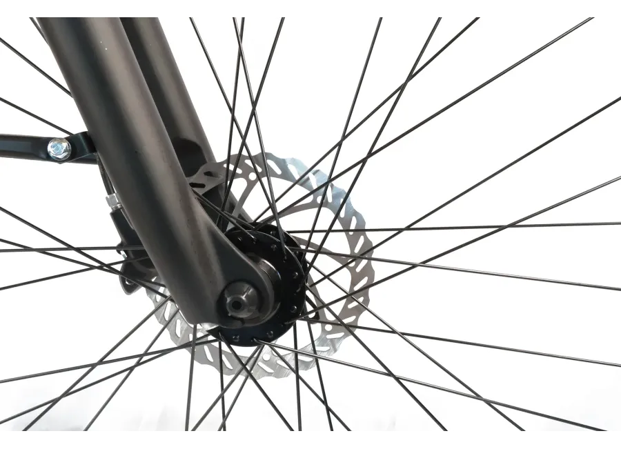 E-BIKE Frequence - Le VAE performant au design moderne